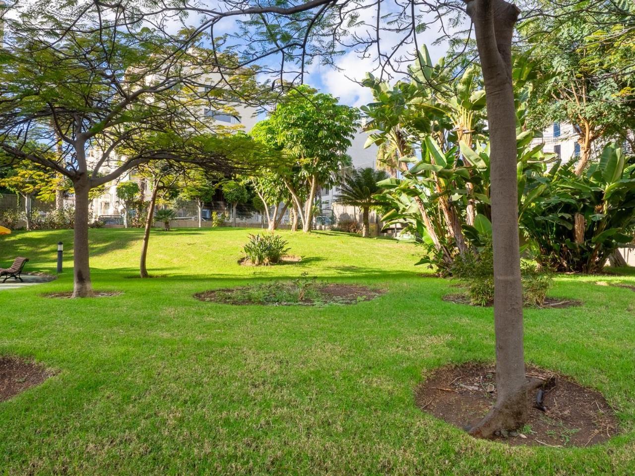 Abora Garden With Terrace, Pool, Extensive Gardens And Free Parking Las Palmas de Gran Canaria